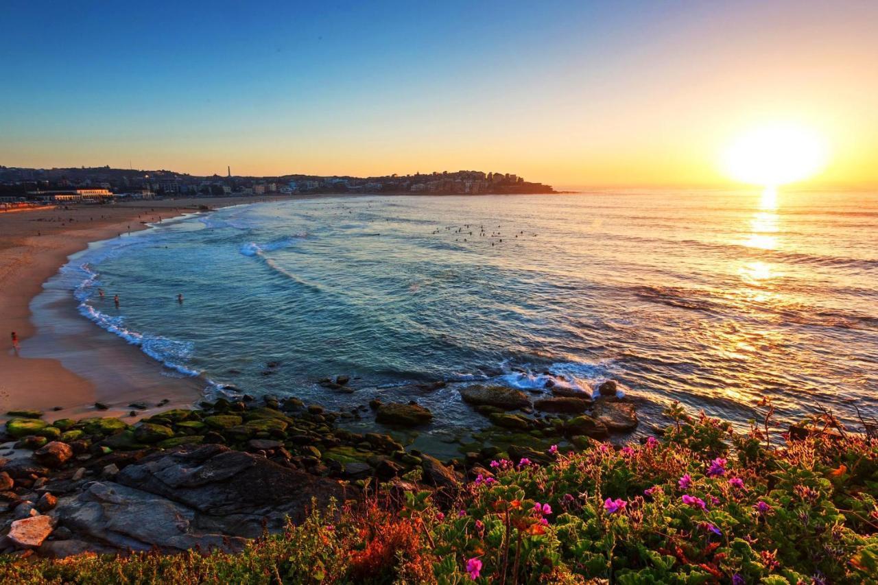 Newlife Serviced Apartments Bondi Junction Sydney Exteriör bild